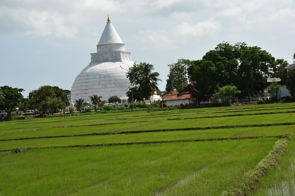 K Holiday Tissamaharama Bagian luar foto